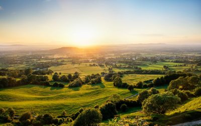 Your Guide to Garage Doors and Driveway Gates in Gloucestershire