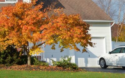 Autumn is here, so it’s time to prepare your garage for winter